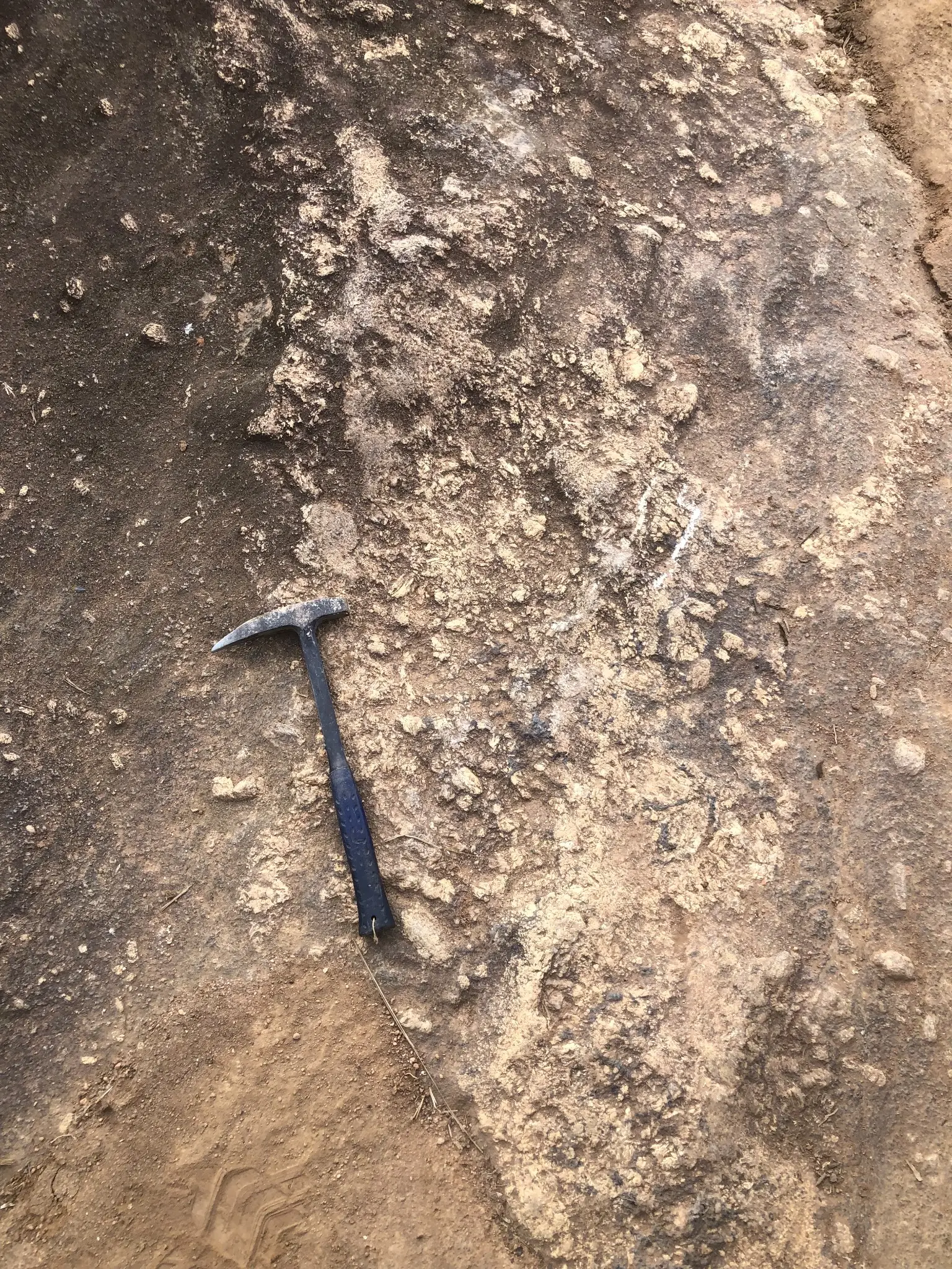 Weathered granitic outcrop with coarse feldspar crystals