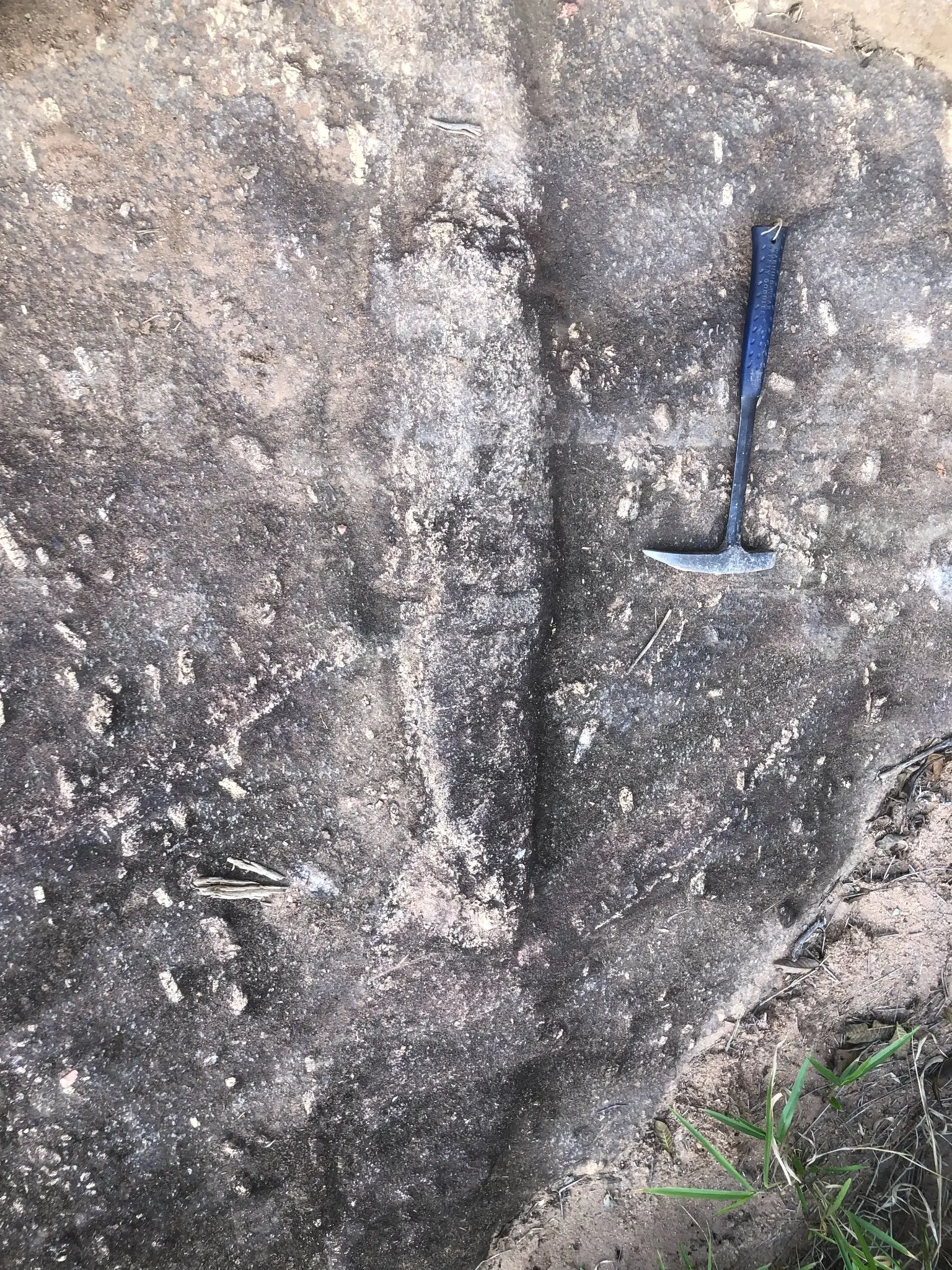 Granite outcrop with aligned feldspar crystals and a field hammer for scale.