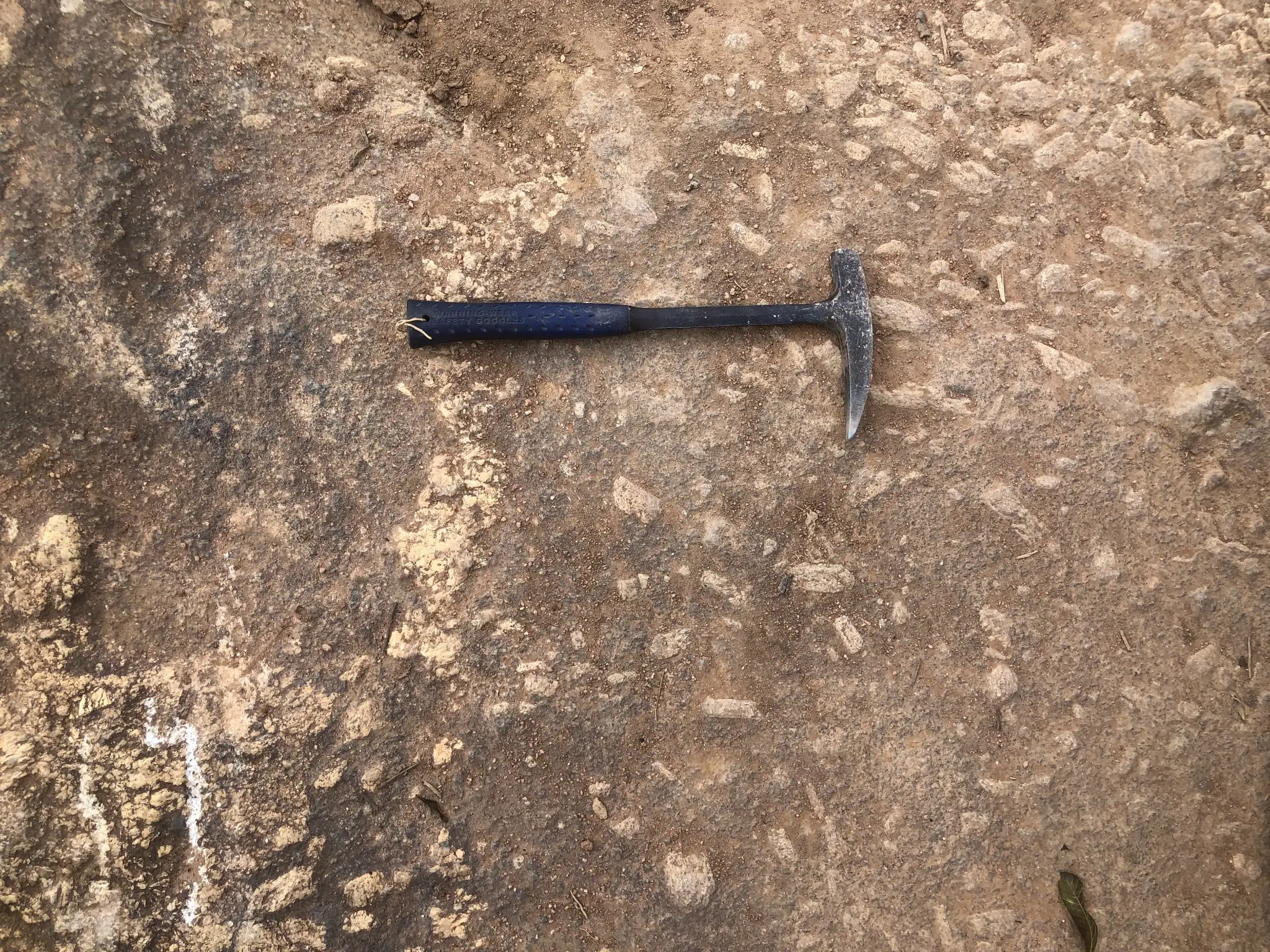 Coarse porphyritic granite showing feldspar phenocrysts in a darker biotite-quartz groundmass.