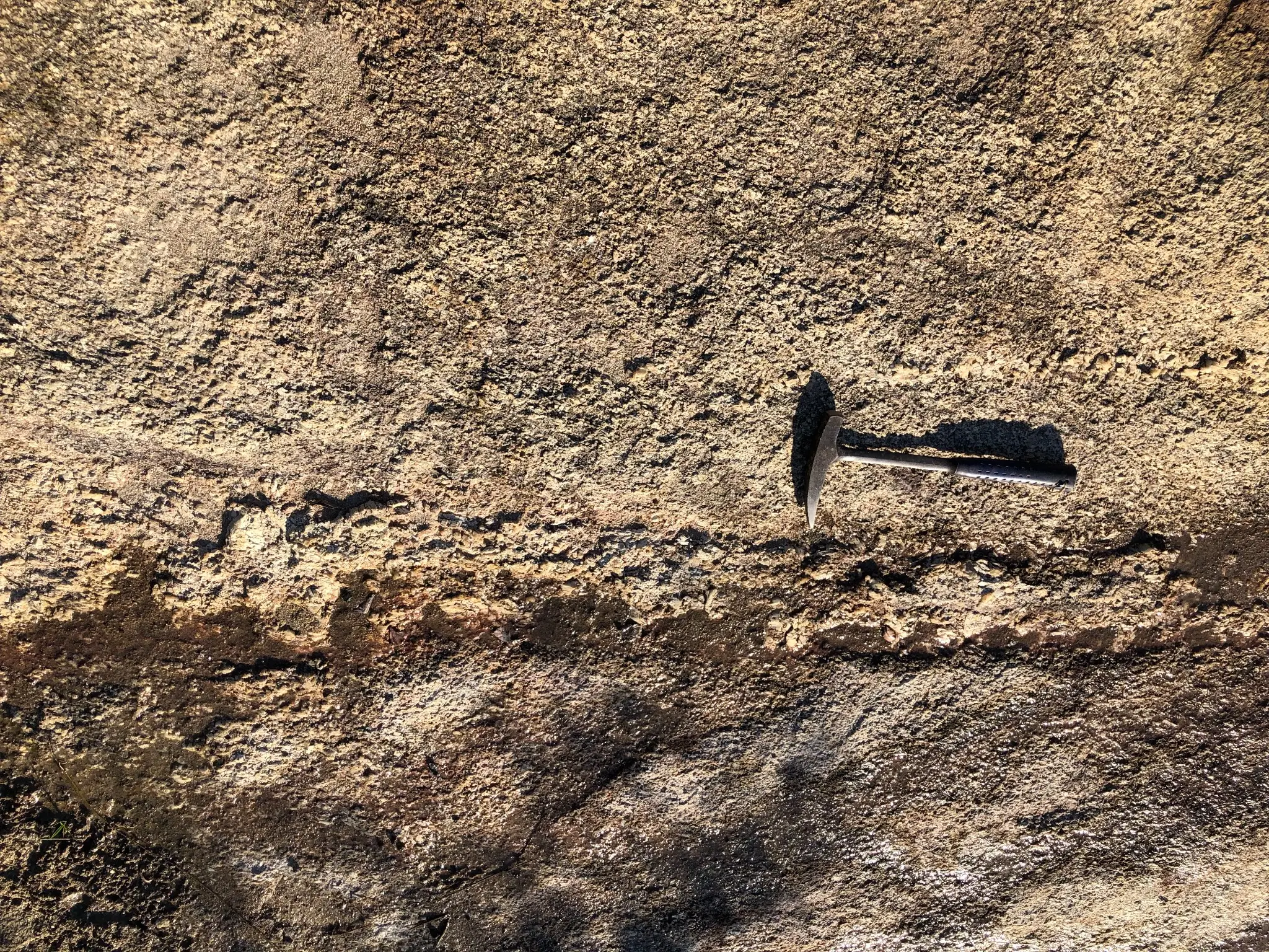 Coarse-grained granitic outcrop with visible quartz and feldspar.