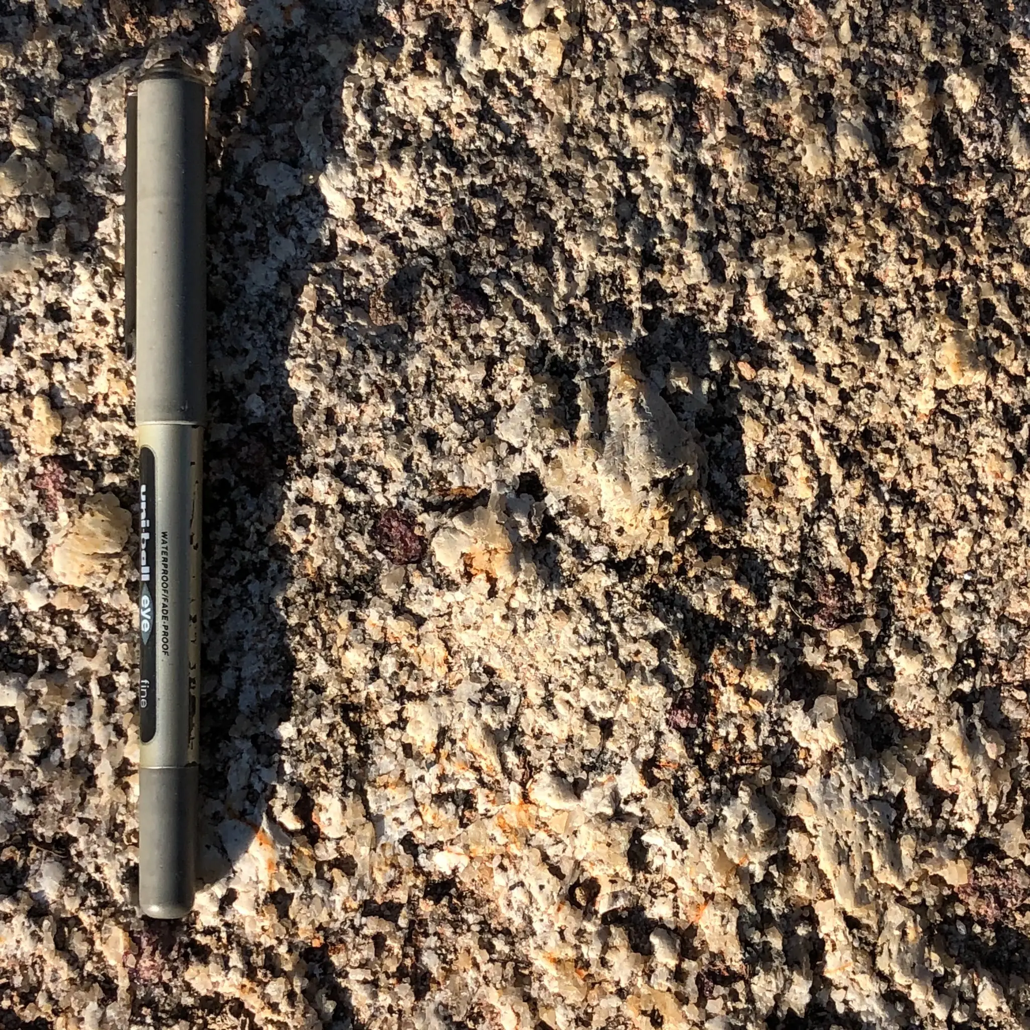 Coarse-grained granite with quartz, feldspar, and dark accessory crystals.