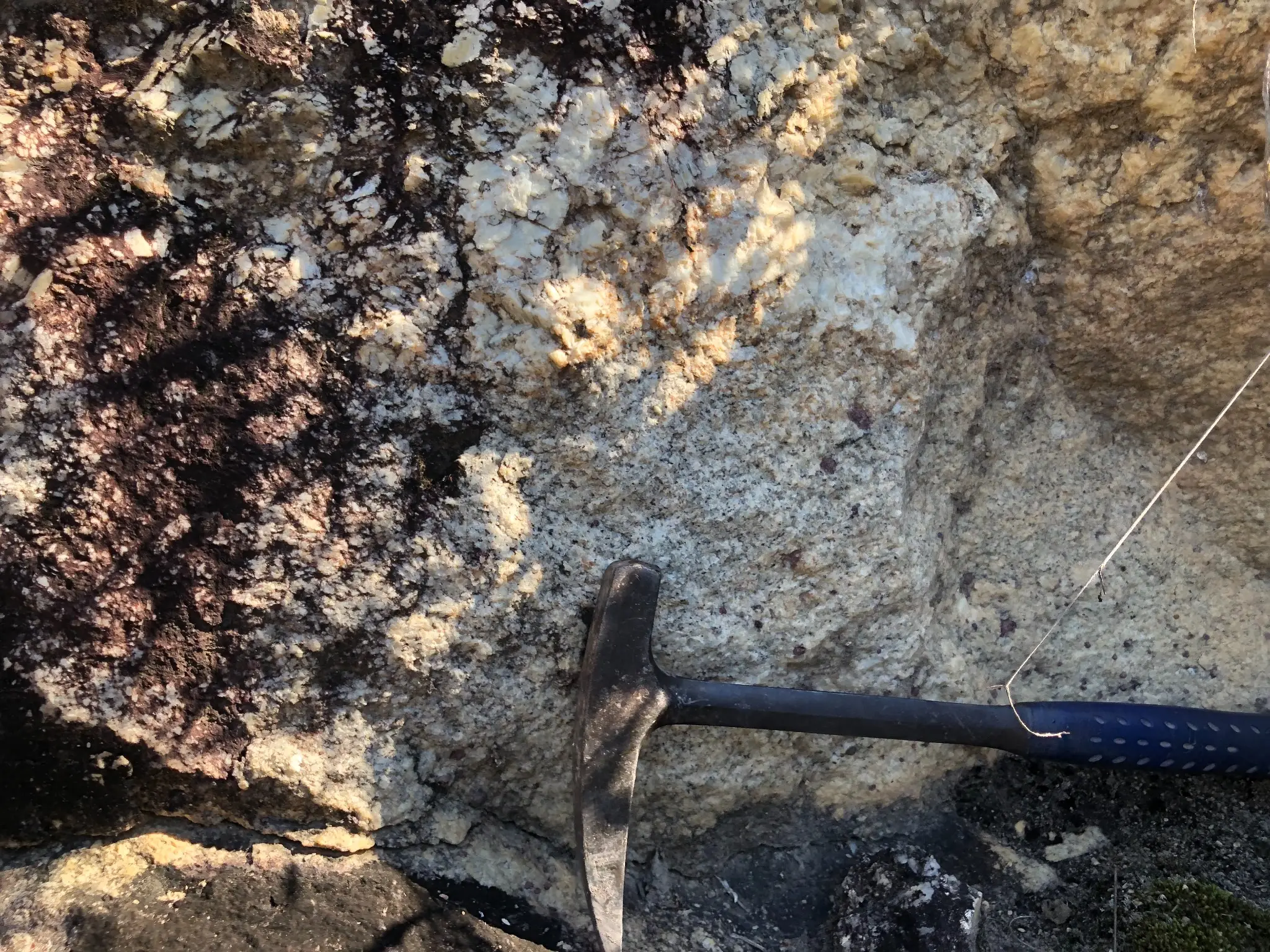 Contact between dark biotite-rich granite and light pegmatitic material, with hammer for scale.
