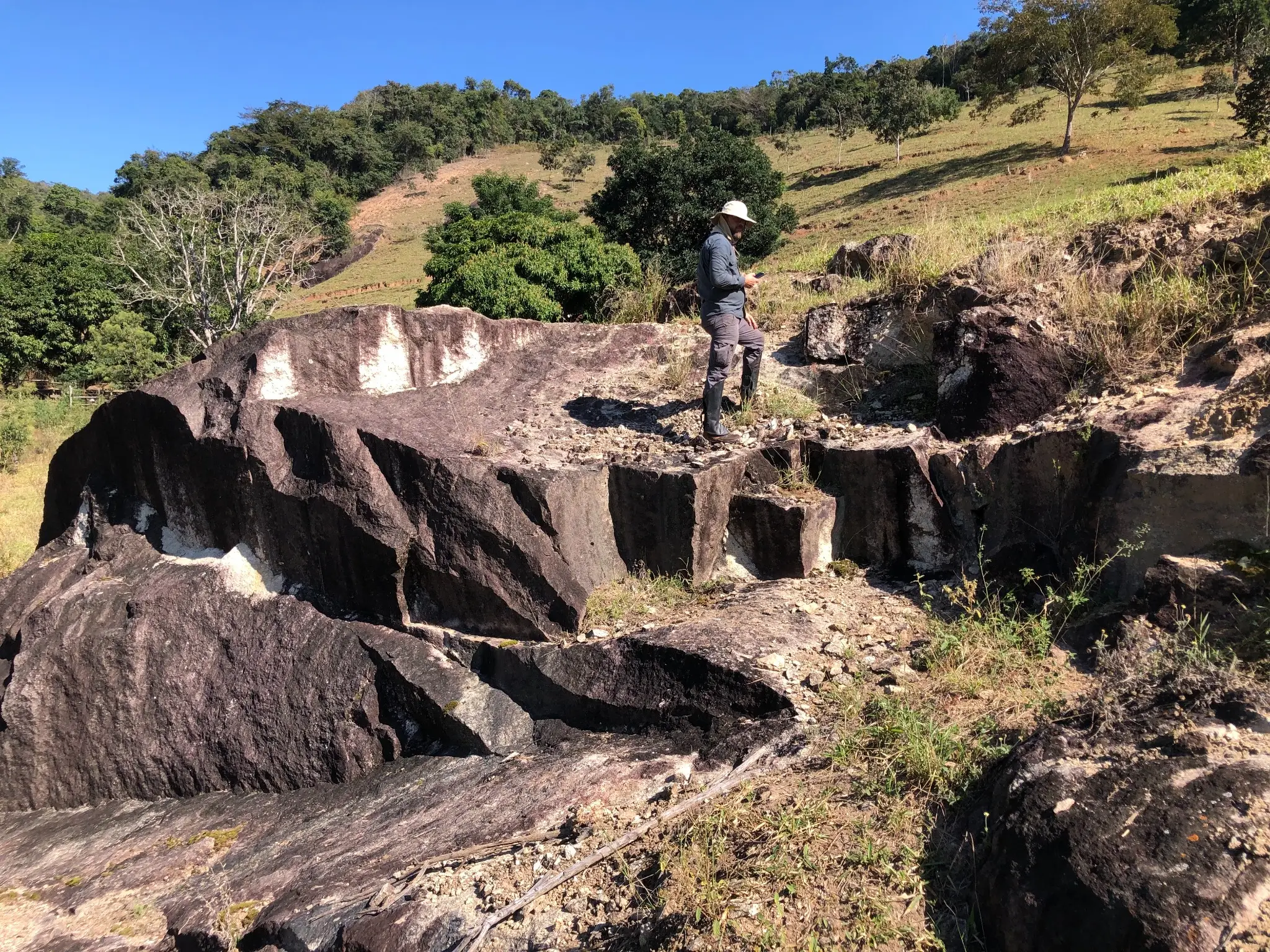 Geologist examining a prominent granite outcrop with light-coloured veins in rolling terrain.