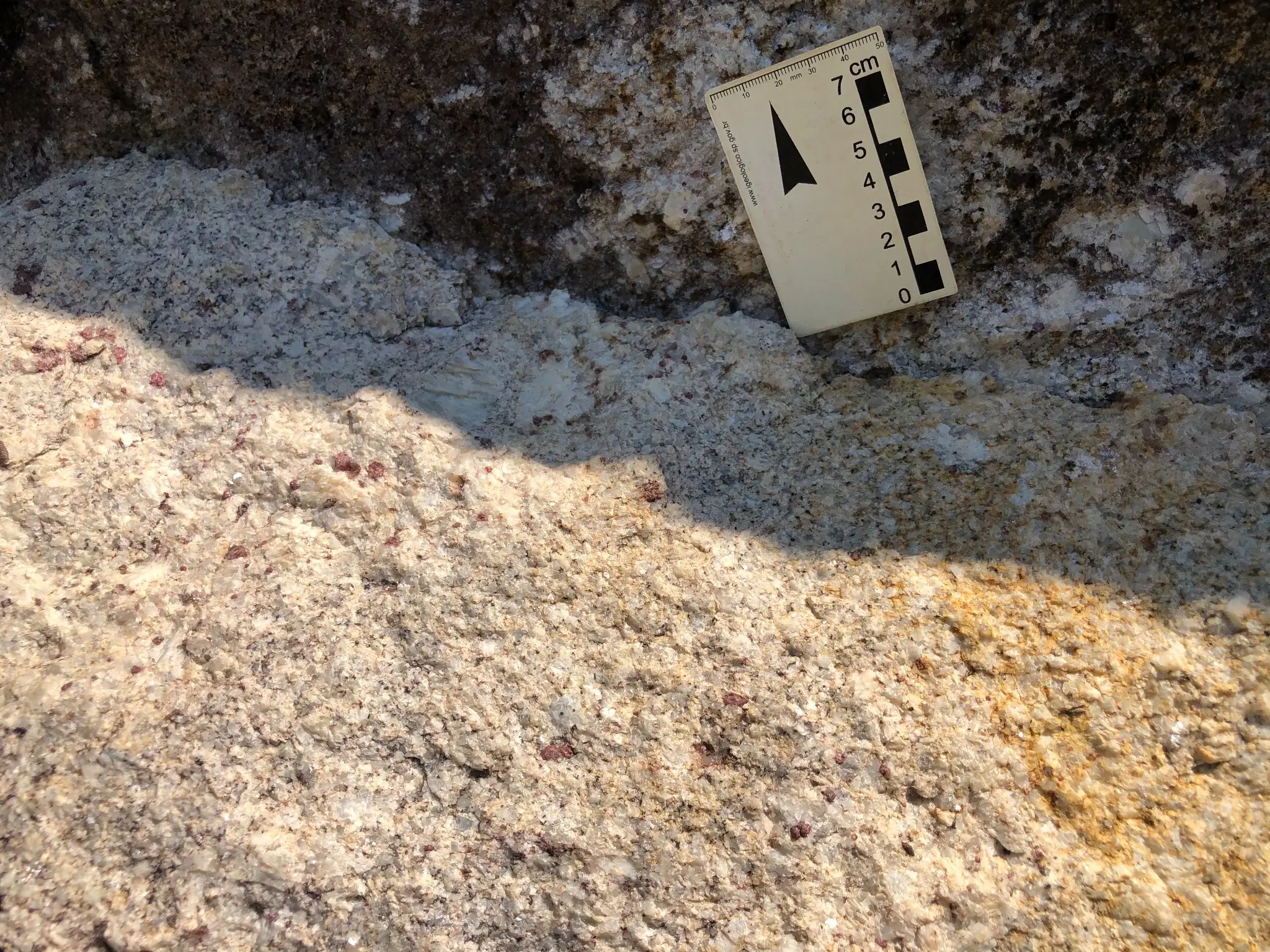 Coarse-grained pegmatitic rock with quartz, feldspar, and red garnet crystals.