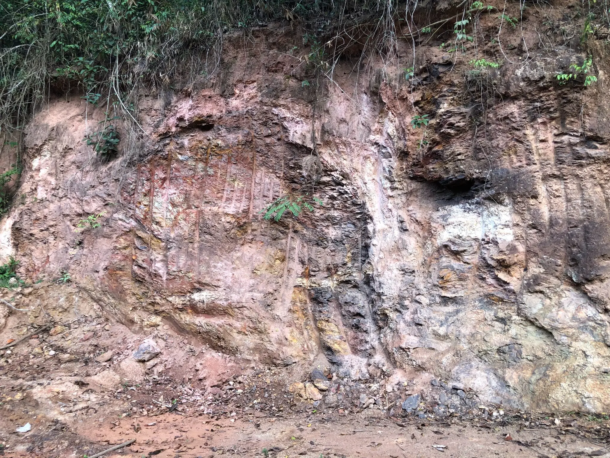 Weathered outcrop with vertical oxidation bands and clay-rich zones