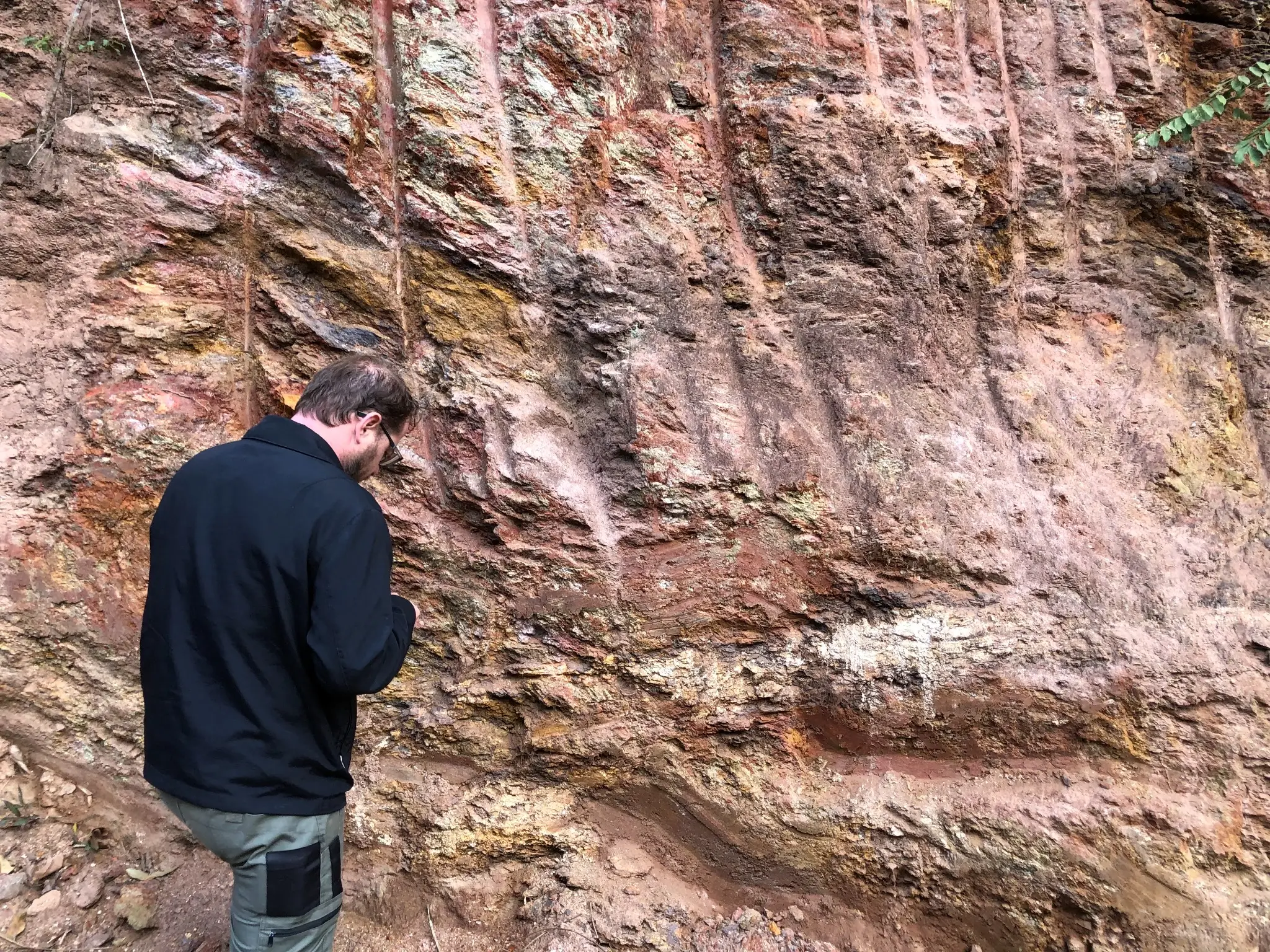 Geologist examining a weathered outcrop with reddish and pale clay-rich zones.
