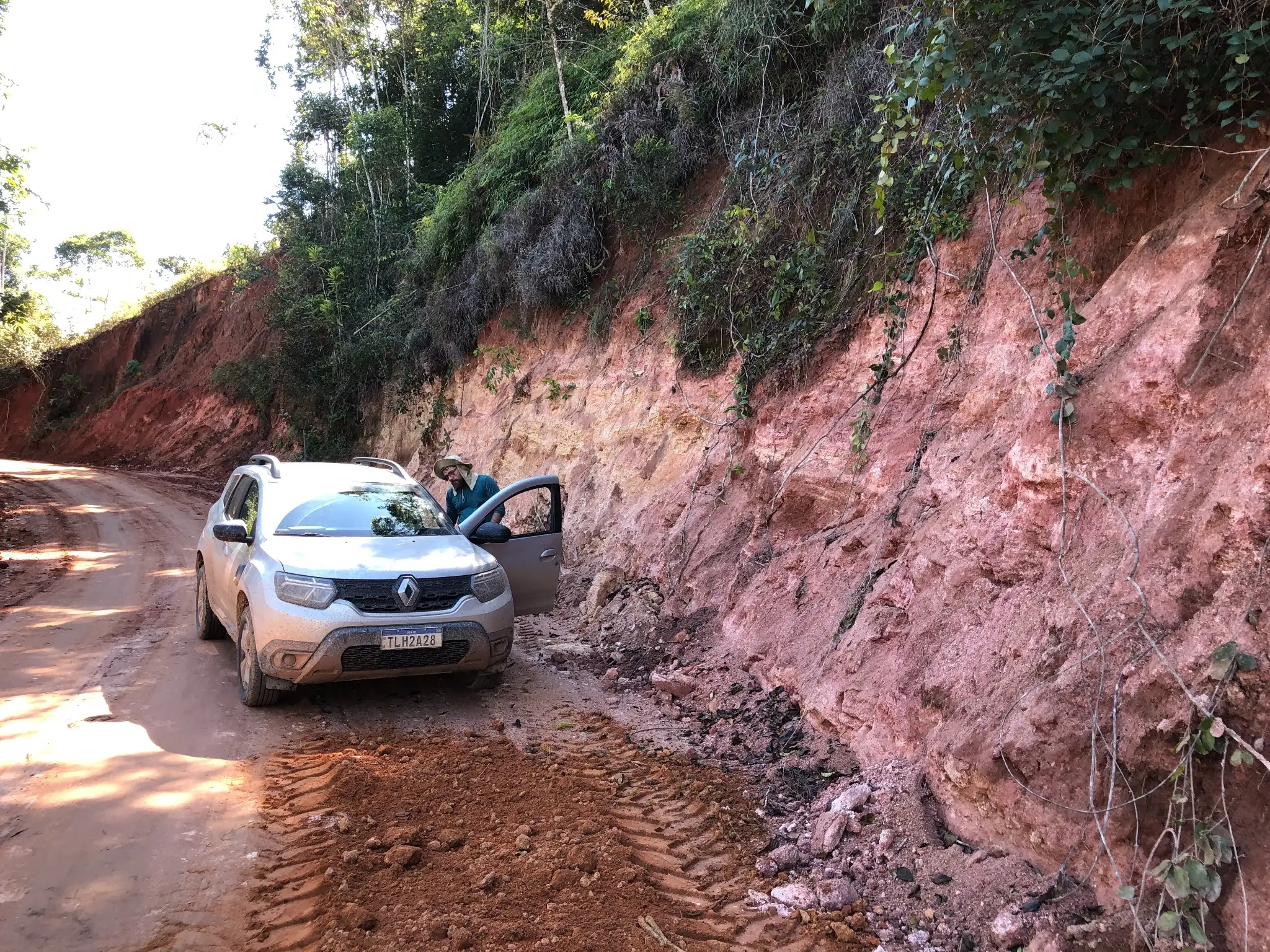 Roadcut exposure of pink to red saprolitic material in weathered granitic terrain.