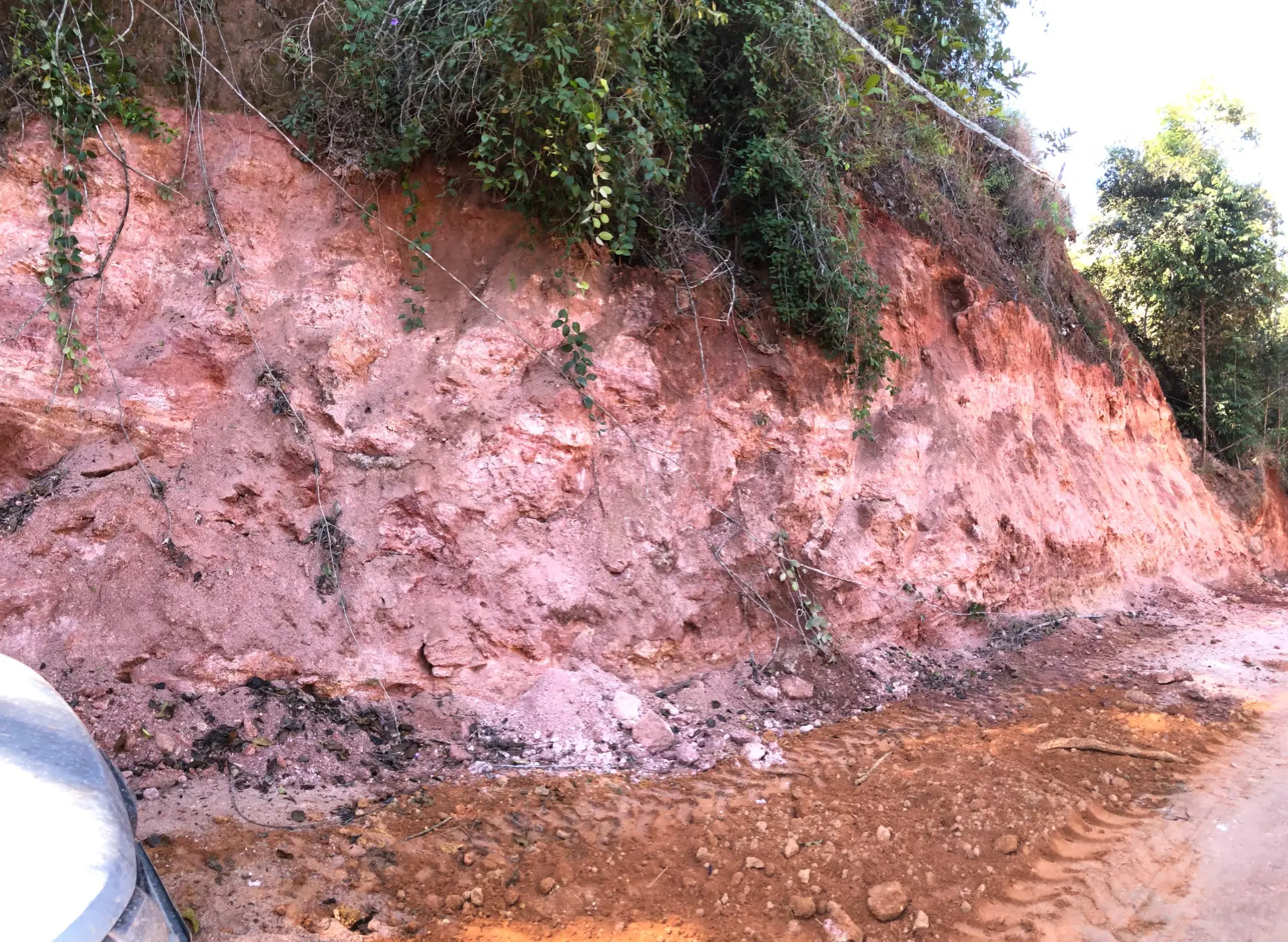 Roadside exposure of weathered granitic saprolite with pink to red oxidation zones.