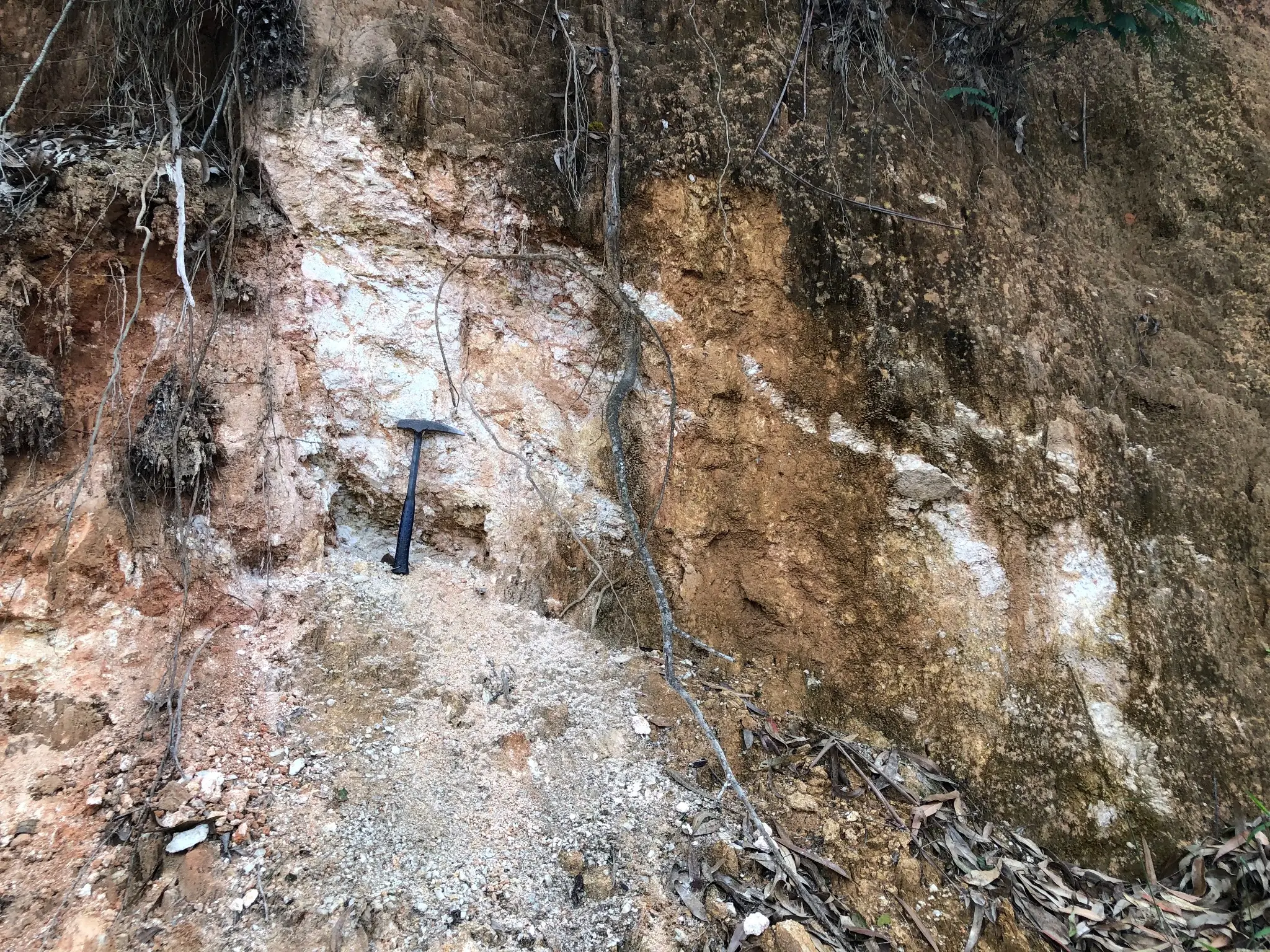 Kaolinized granitic saprolite with quartz-rich zones and iron staining.