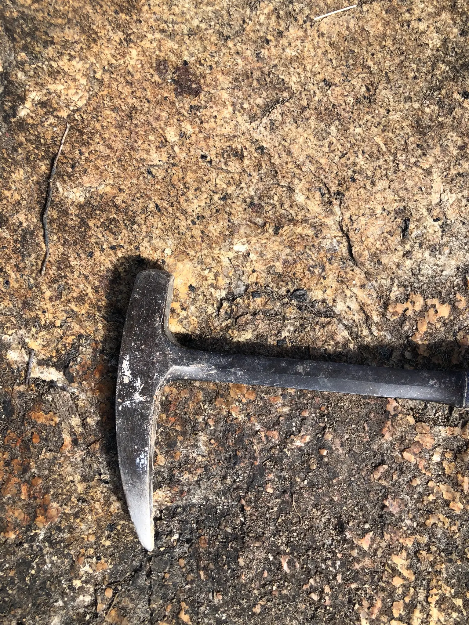 Granite exposure with coarse feldspar, quartz, and biotite minerals.
