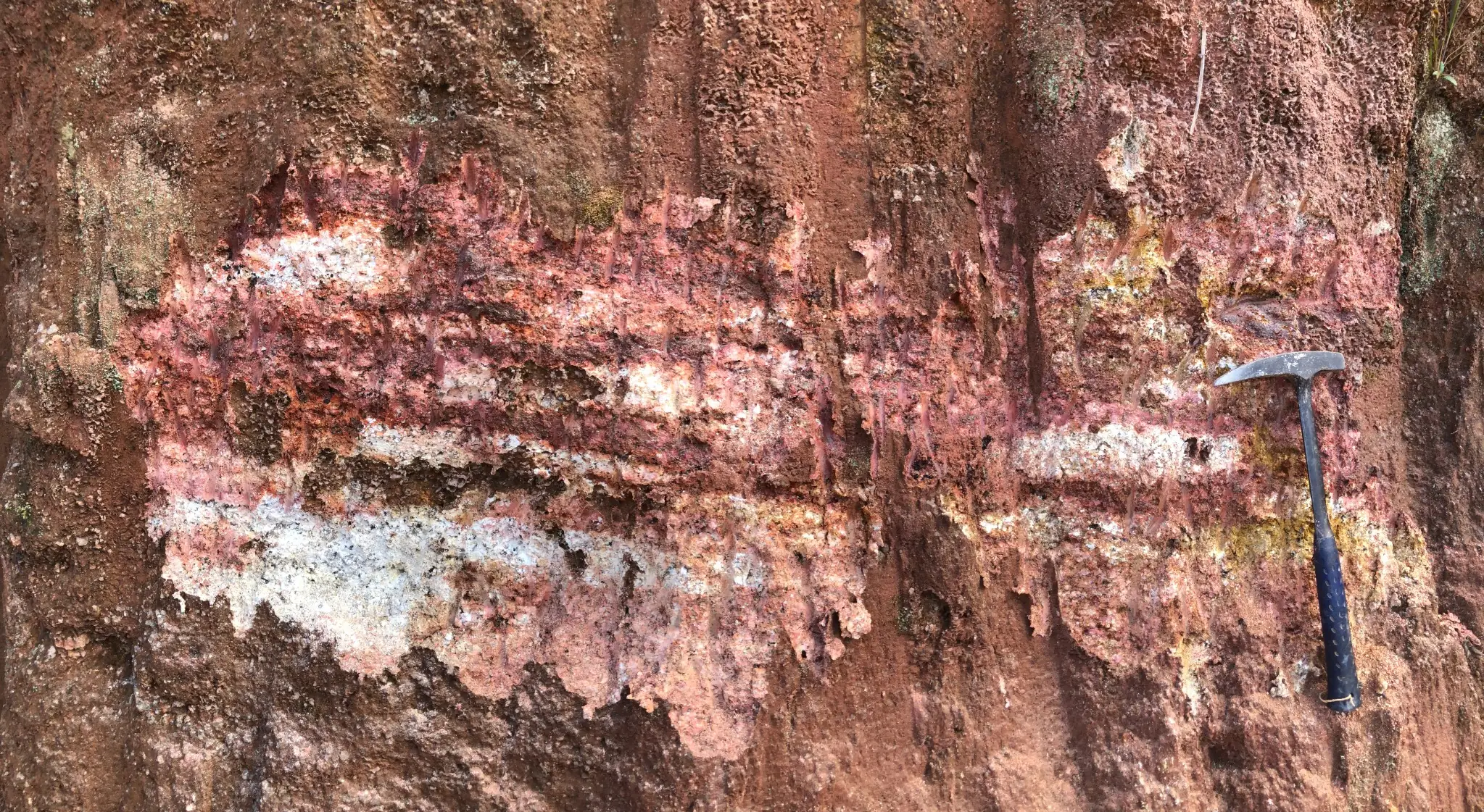 Kaolinized saprolite horizon with pink and white weathering bands.