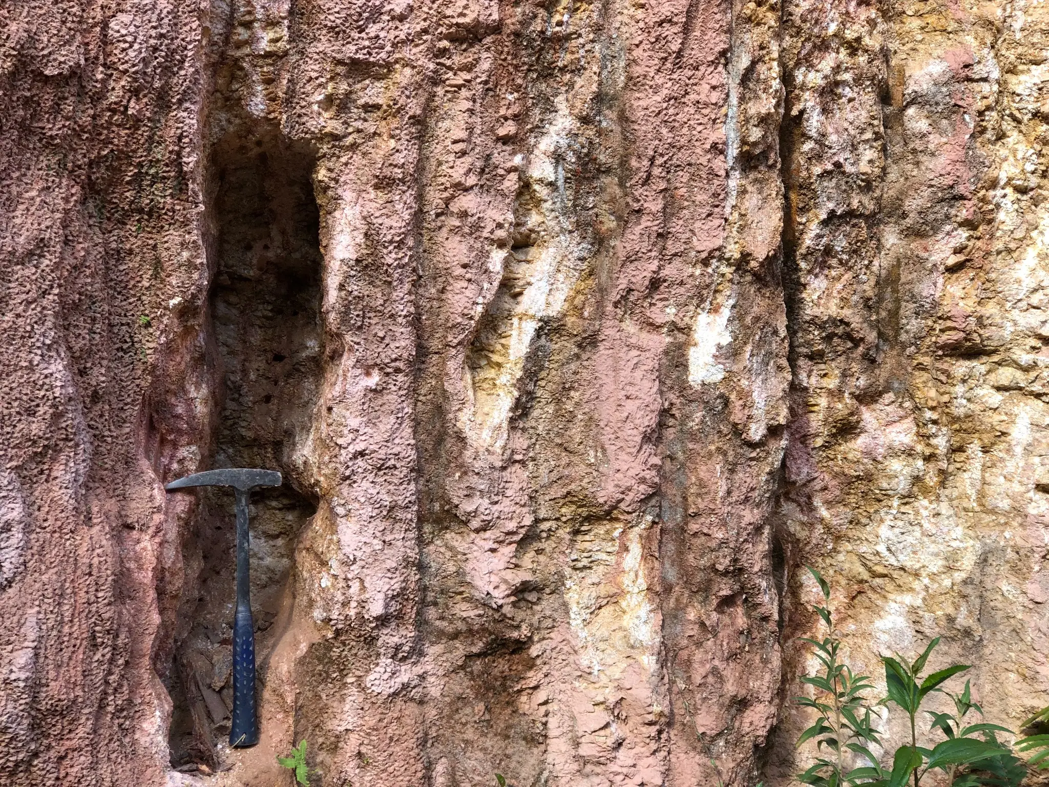 Vertical saprolite wall with pink, yellow, and white weathering zones.