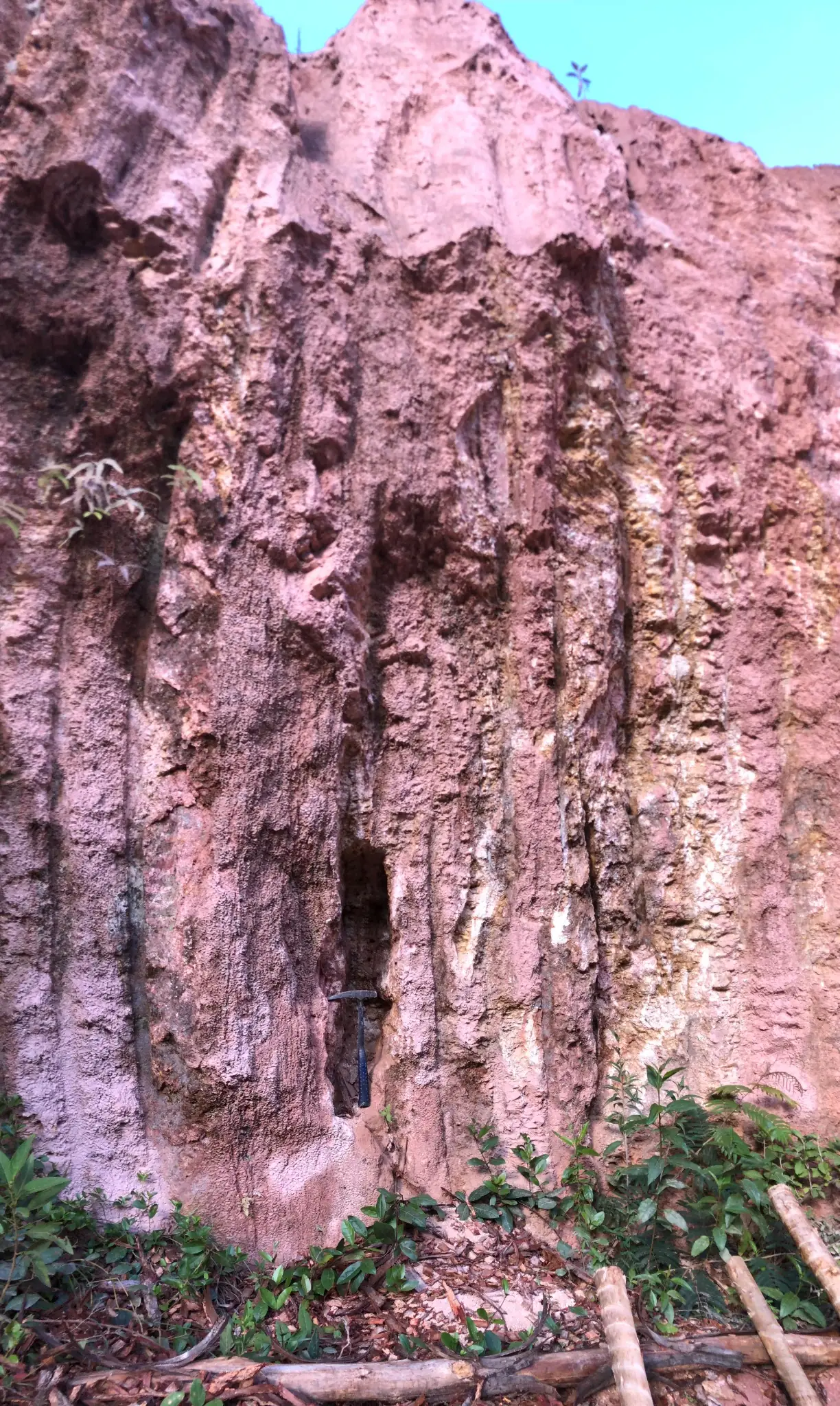High saprolite wall with pink, tan, and cream weathering zones