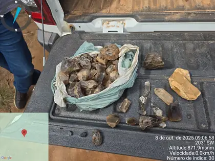 Collected pegmatite samples showing coarse mica, quartz, and feldspar fragments.