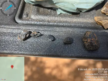 Dark pegmatite mineral fragments collected from surface exposures.