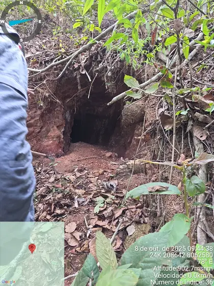 Geologist examines an overgrown artisanal tunnel entrance in the Novo Cruzeiro hills.