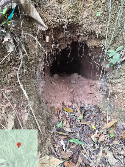 Shallow collapsed entrance of an artisanal working in reddish saprolite.