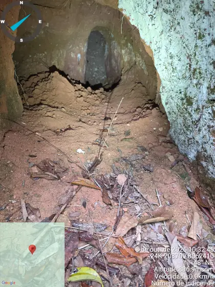 Narrow artisanal tunnel in reddish saprolite at Novo Cruzeiro.