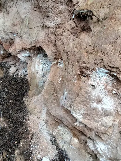 Weathered face with white clay and feldspar textures
