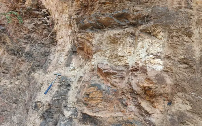 Quartz and pegmatite veins in oxidized weathered rock