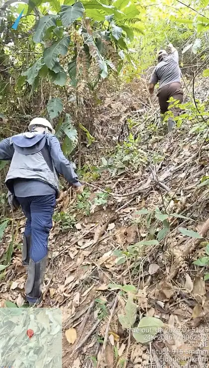 Project field video